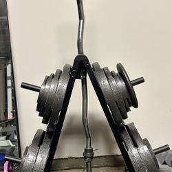 Weights with rack and bar