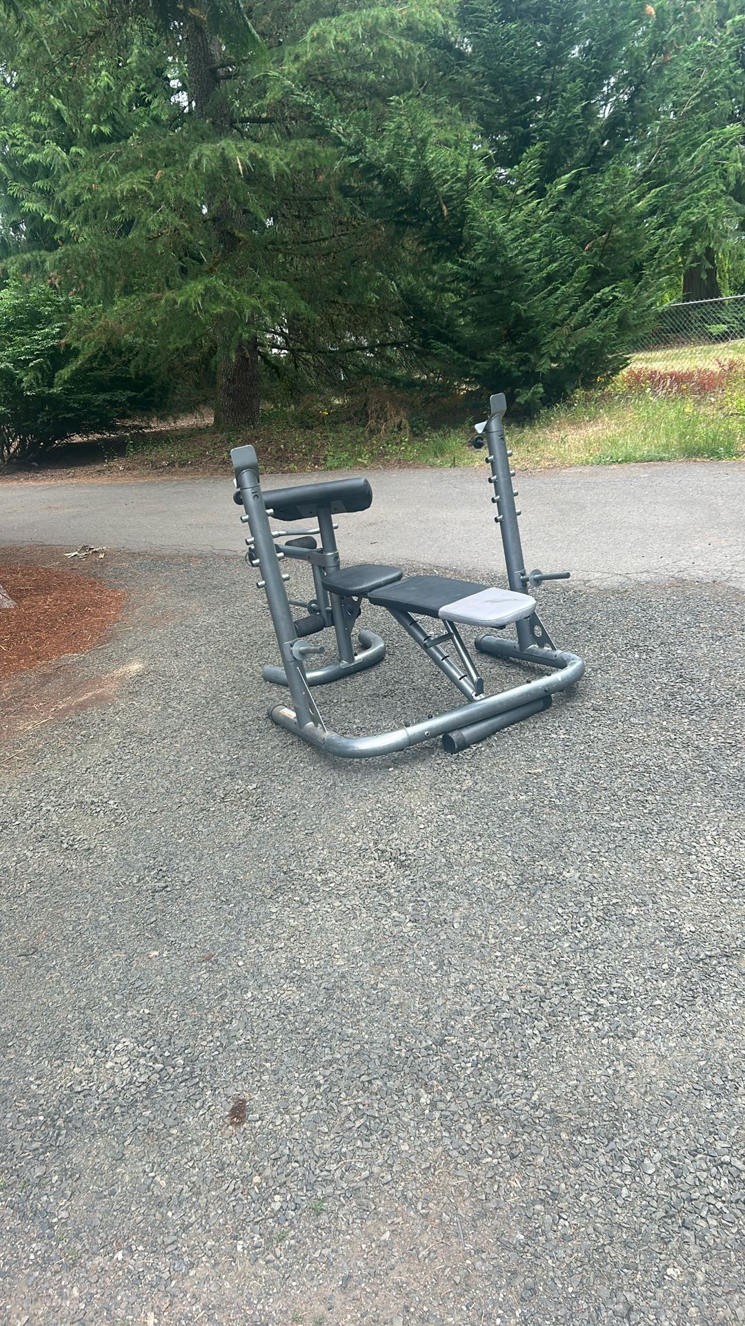 FREE Squat Rack And Bench Press
