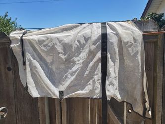 Size 78 fly sheet horse