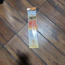 Paint Brush