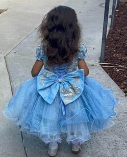 Blue Cinderella 2 in 1 girl dress!