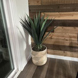 Fake Plant