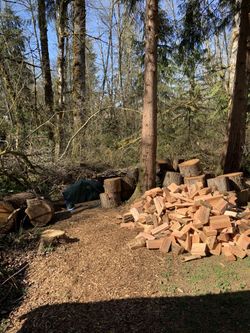 Seasoned Fire Wood Hemlock