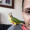 Gianna M