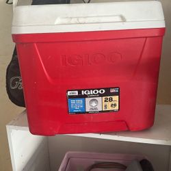 Igloo Cooler Like New