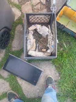 Box Full Of Nails Various