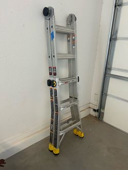 10ft 10in Gorilla Ladder