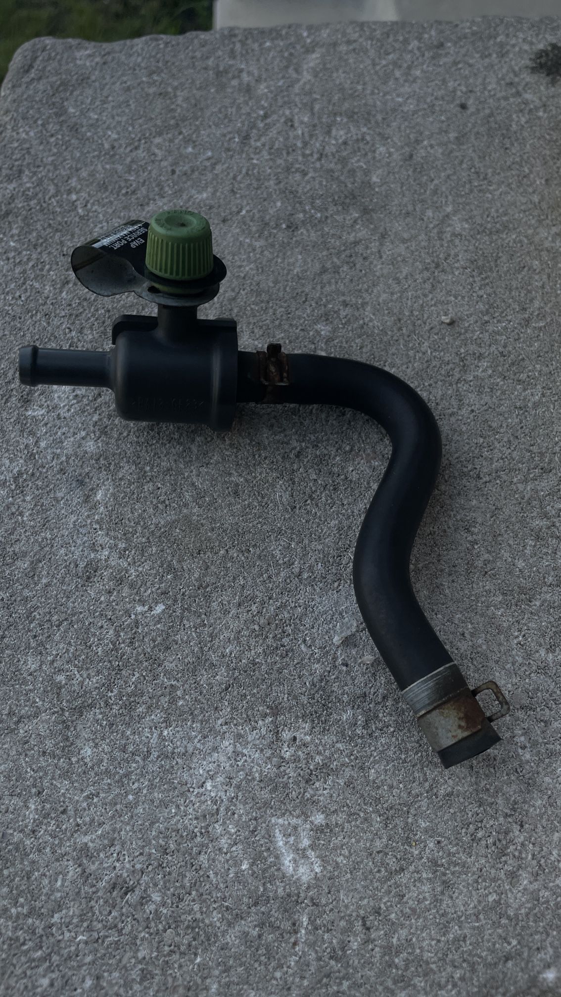 Evap Hose