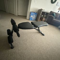 Adjustable Bench, Pull Up Bar, And Push-up Stands 