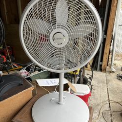Pedestal Fan (works! Does not oscillate)