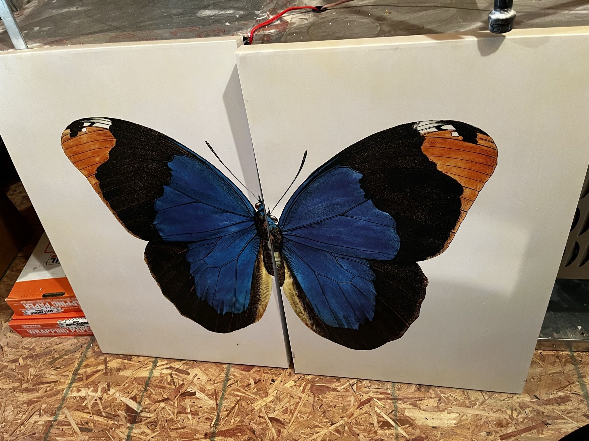 2 Piece canvas Print