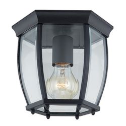 1-Light Matte Black Indoor/Outdoor Flush Mount Light 