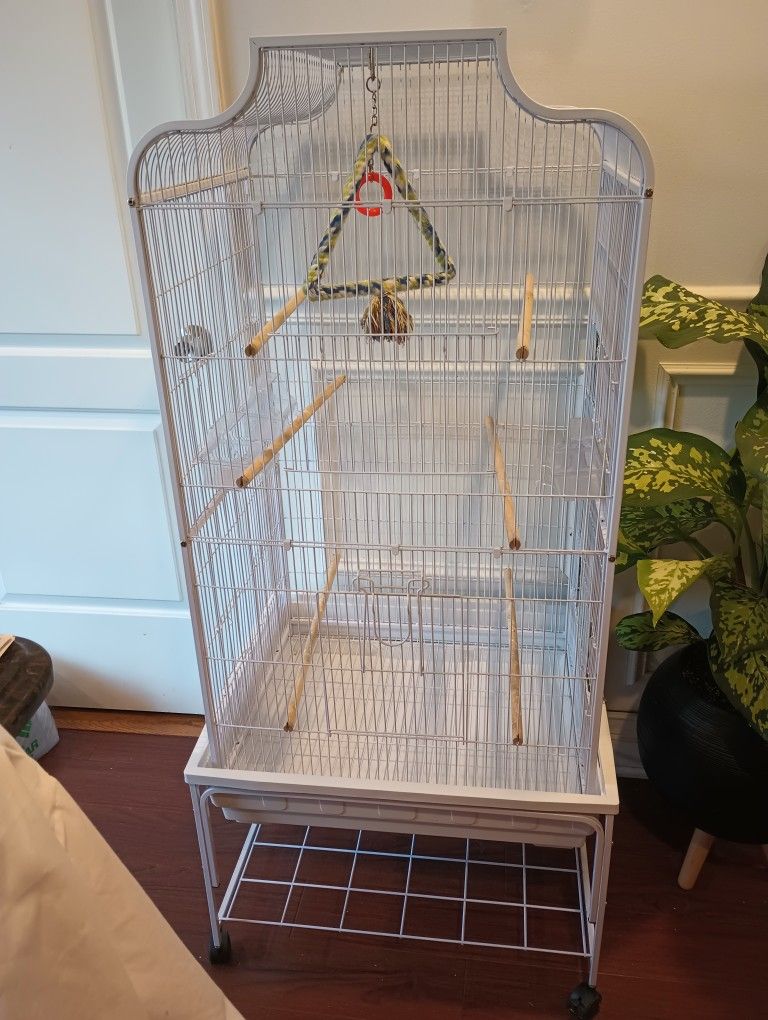 Bird Cage