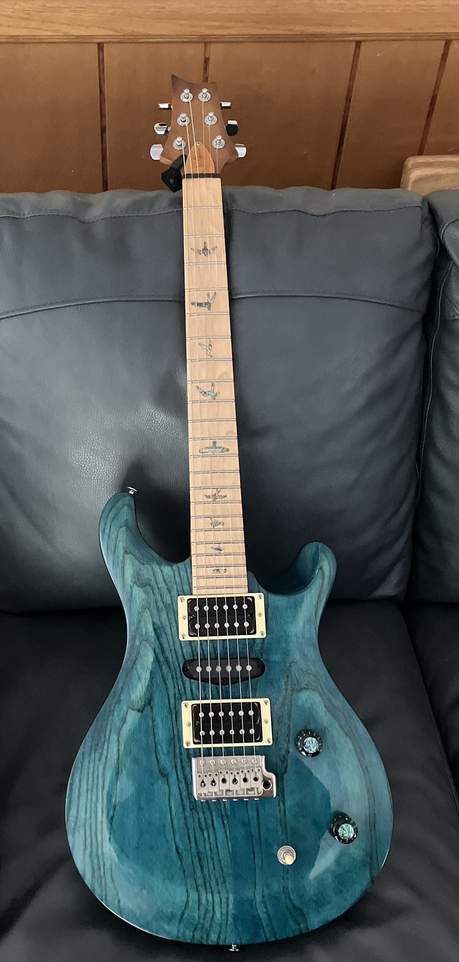 PRS Swamp Ash Special Iris Blue 