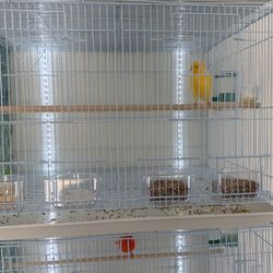 Bird Cage An Canary 