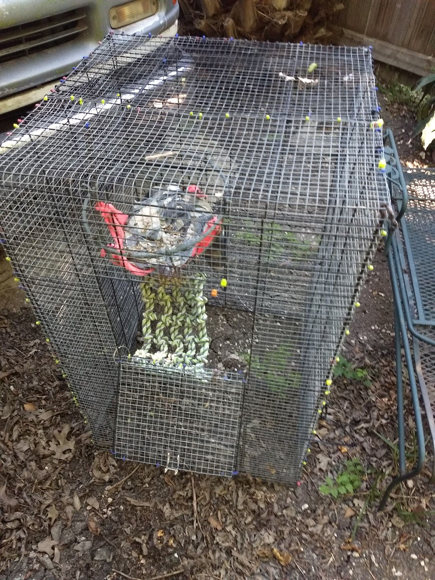 Homemade Ferret Cage