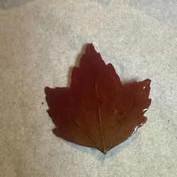 Vintage Enamel Maple Leaf Brooch