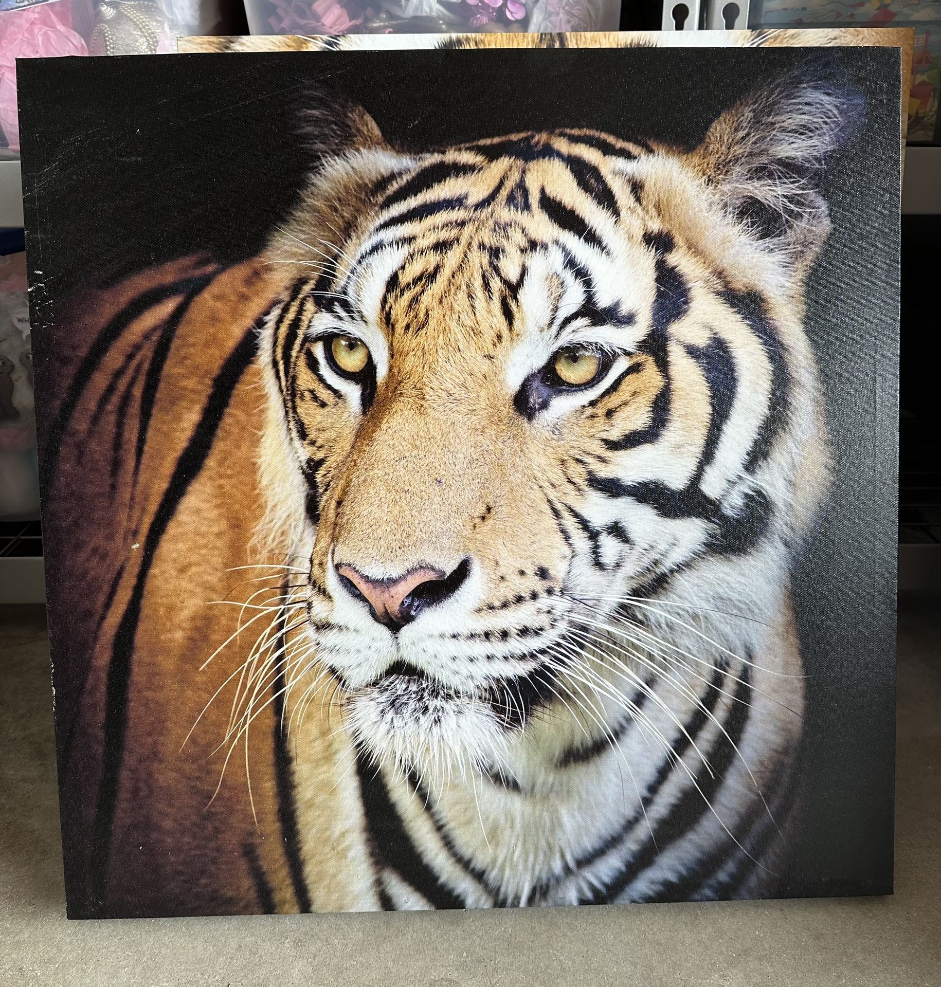 Paintings