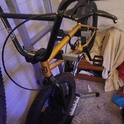 Kink Curb  BMX Bike 20" Matte Gold Leaf -Mission X7