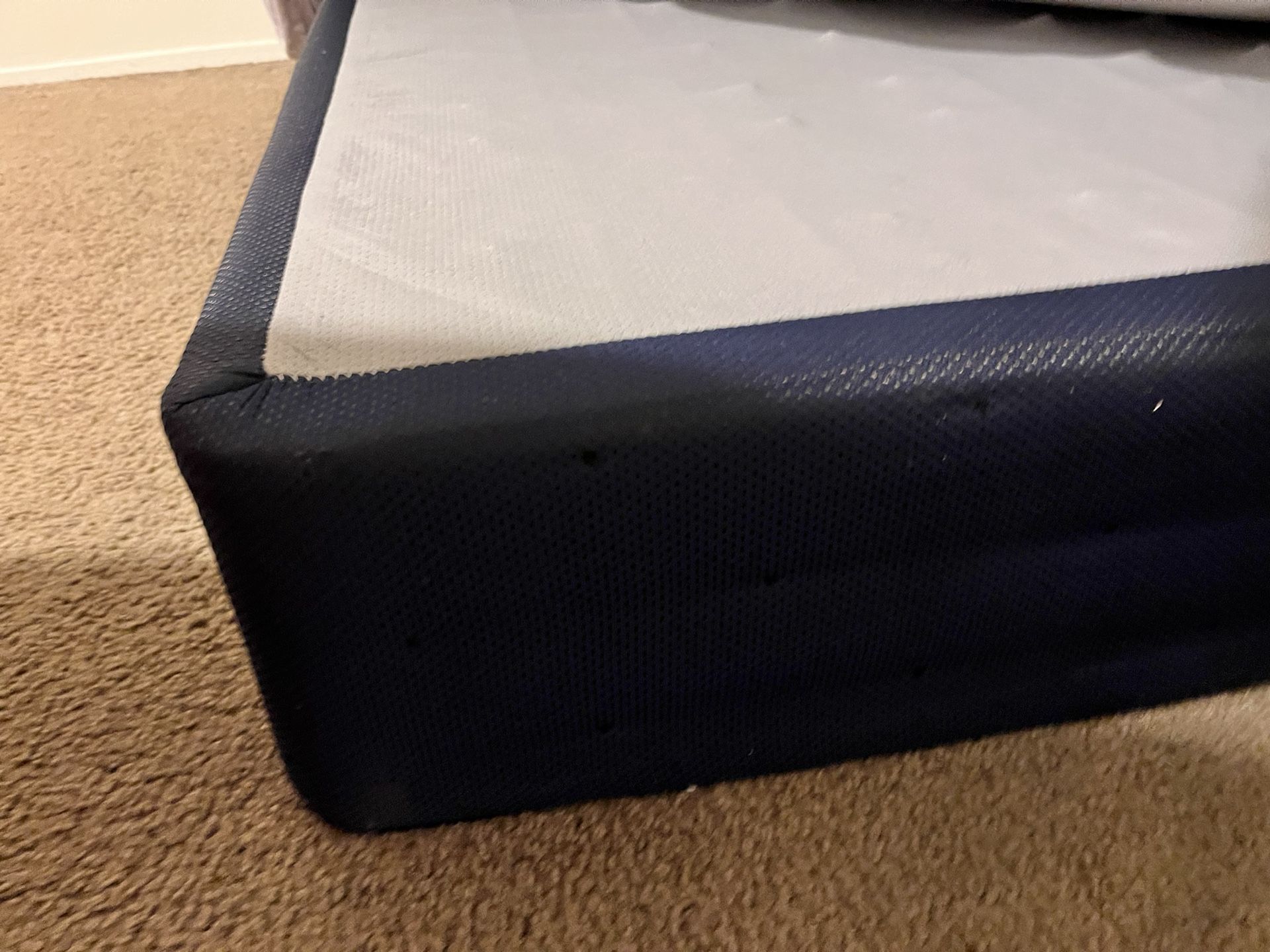 Platform Bed And 2 Mattresses