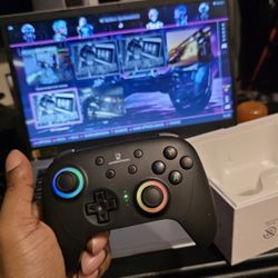 Anbernic Controllers 