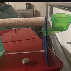 Bird Stand With Food/water Or Treat Cup