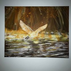 Painting"Swan under golden rays"