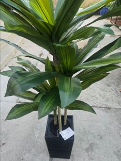artificial dracaena tree
