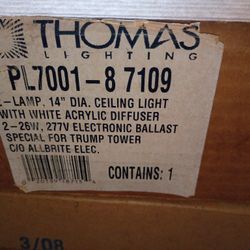 Estate Sale - Trump Lights