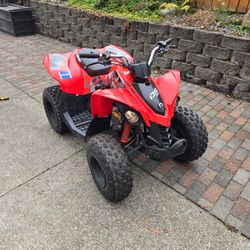 Can-Am DS 90 Kids ATV