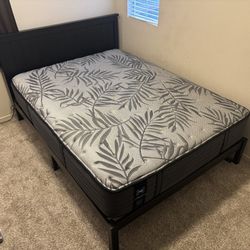 Queen Bed frame and Mattress