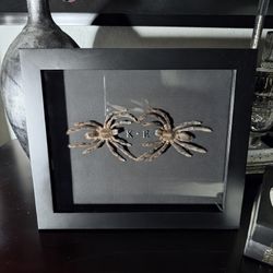 Custom Tarantula Heart Frame (Personalized Oddities)