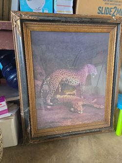 Framed Art