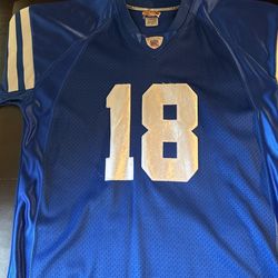 Peyton Manning Jersey