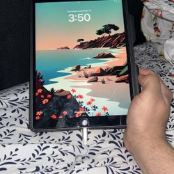 IPad Pro 10.5 (4g Unlocked) 