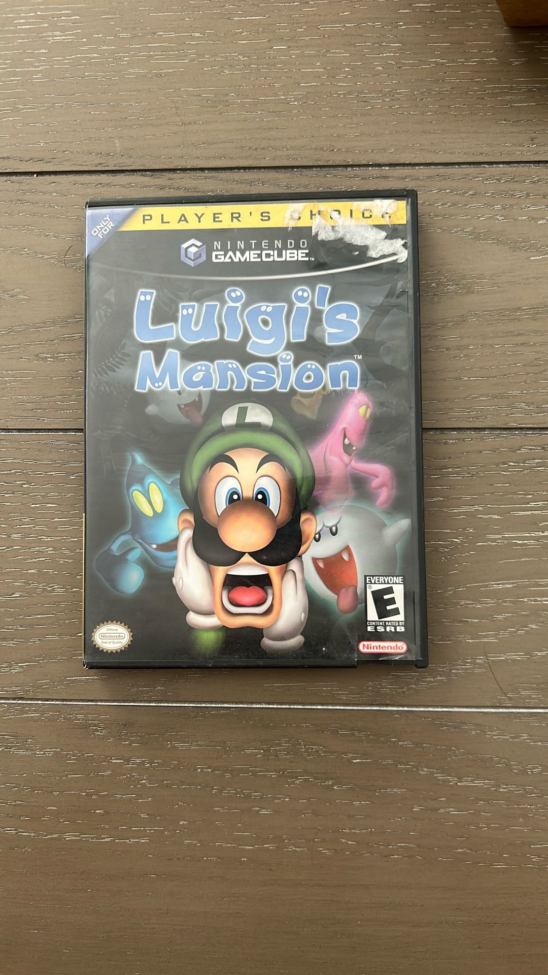 Luigi’s Mansion