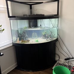 Fish Tank