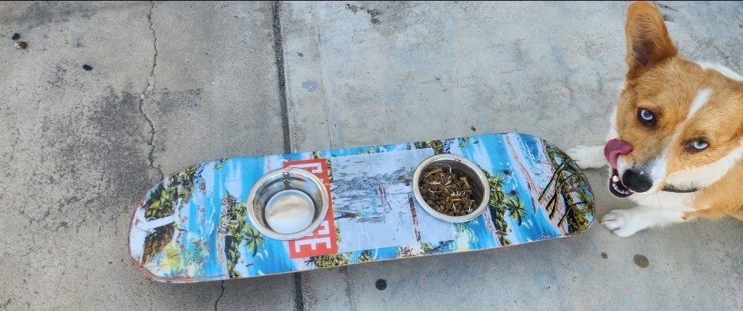 Skateboard Dog/cat Bowls