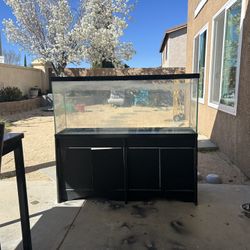60 Gallon Fish Tank & Stand 