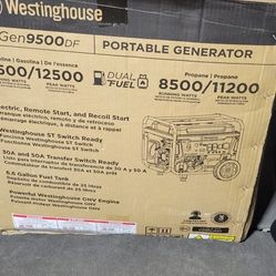 Whole House Duel Fuel Generator New