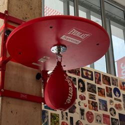 Supreme Everlast punching bag
