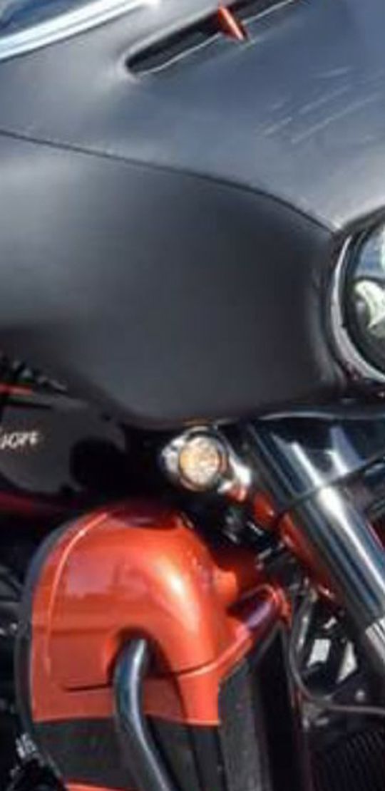 Harley Davidson Fairing Bra