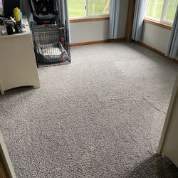 Foam Fresh Carpet Cleaning Service 