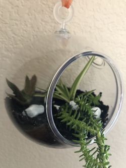 Terrarium planter