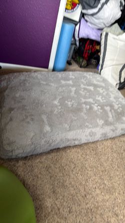 Large dog bed, like new