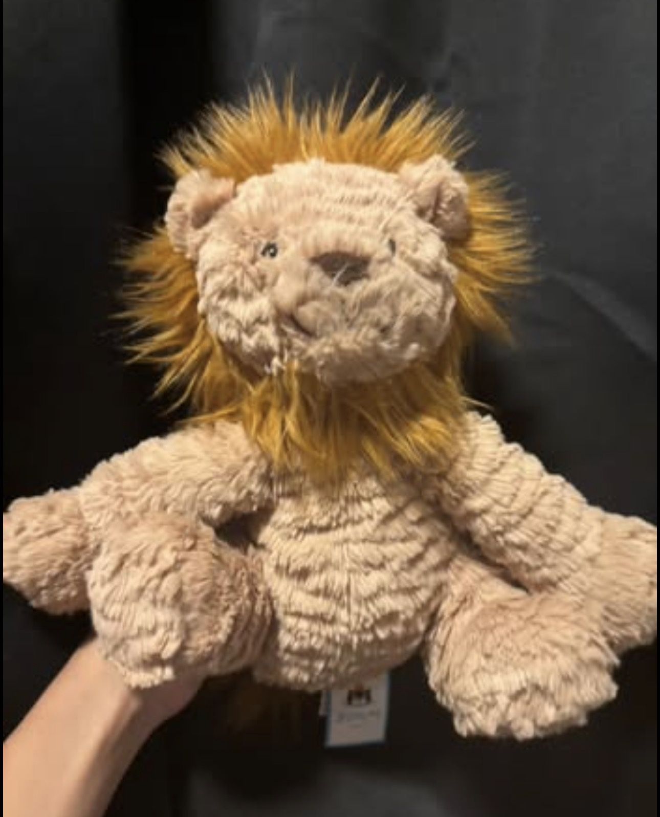 Lion Jellycat Medium 