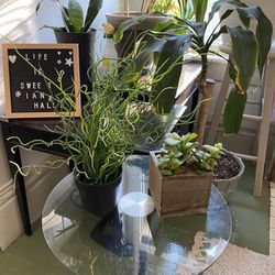 Fake Plants / Plants / Artificial Plants / Fake Plants / Plants / Plant Stand / Fake Plants 