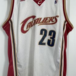 Authentic LeBron James 2003-2010 Cavaliers Home White Jersey