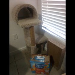 For cats Sleep Play And Scratching Paws