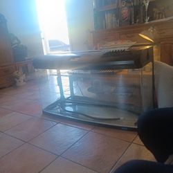 90gal Fish Tank